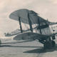 (Fleet Air Arm)